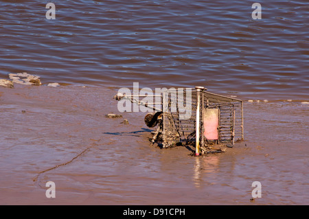 Dumped abandoned shopping trolley Stock Photo