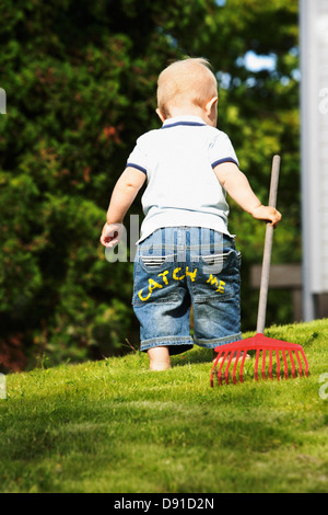 A rake Sweden Stock Photo - Alamy