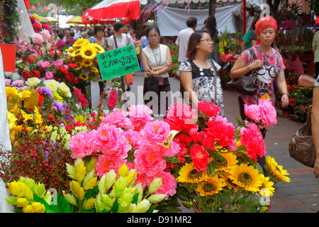 Singapore,Bugis,Waterloo Street,shopping shopper shoppers shop shops market markets marketplace buying selling,retail store stores business businesses Stock Photo