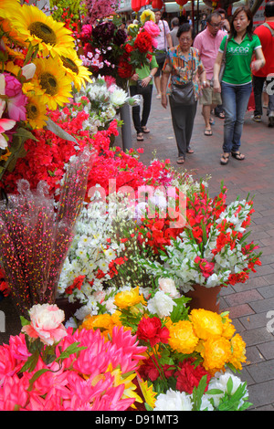 Singapore,Waterloo Street,shopping shopper shoppers shop shops market markets marketplace buying selling,retail store stores business businesses,Asian Stock Photo