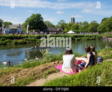 Durham rowing Regatta, Durham, England, UK Stock Photo