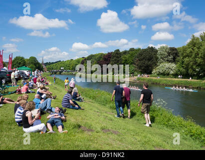 Durham rowing Regatta, Durham, England, UK Stock Photo