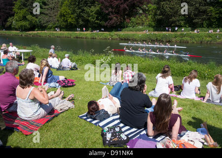 Durham rowing Regatta, Durham, England, UK Stock Photo