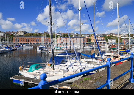 Milford Haven Marina Milford Haven Pembrokeshire Wales Stock Photo