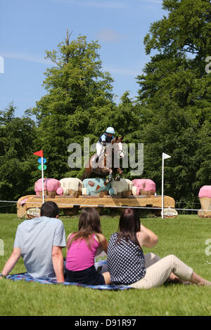 Leeds Bramham UK. 8th June 2013. A group of spectators at the Yorkshire Ice Cream jump watch the cross country event during the 40th Bramham horse trials. Credit: S D Schofield/Alamy Live News Stock Photo