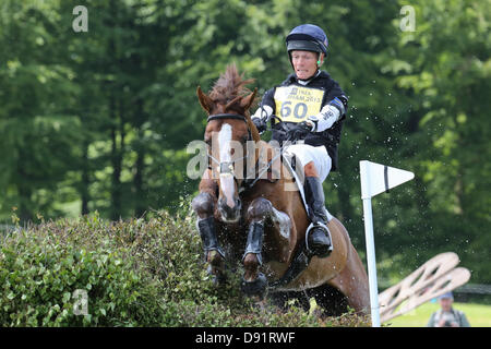 Leeds Bramham UK. 8th June 2013. William Fox Pitt (GBR) riding Chilli Morning,making the jump during the cross country event at the 40th Bramham horse trials. Credit: S D Schofield/Alamy Live News Stock Photo