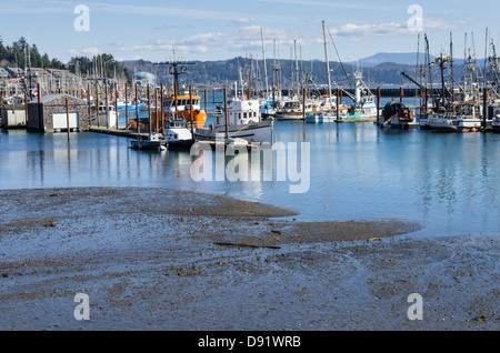 Newport Oregon United States. Newport harbor is home to a commercial fishing fleet as well as many private ships Stock Photo