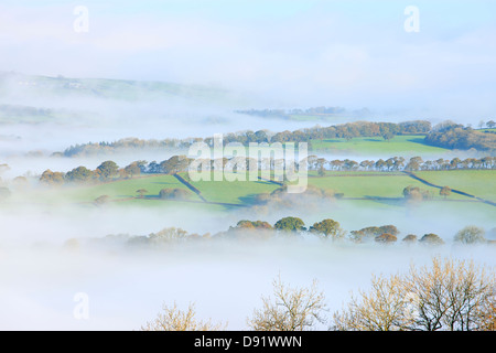 Autumn misty morning in rural countryside Tywi Valley Carmarthenshire Wales Stock Photo