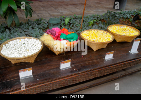 Bangkok Thailand,Thai,Pathum Wan,Jim Thompson House,museum,raw silk,cocoon,white,yellow,Thai130214007 Stock Photo