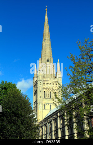 Norwich Cathedral Spire, Norfolk, England UK, English medieval cathedrals spires Stock Photo