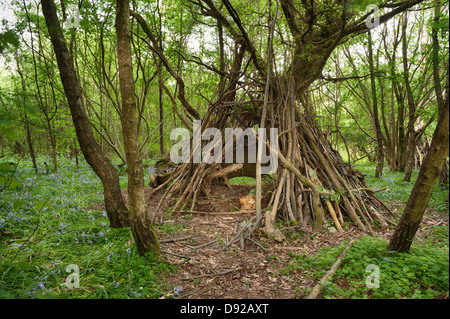 secret dwelling house camp of kids homeless in middle of undergrowth forest woodland shelter den Stock Photo