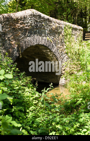 Bridgetown a village on the River Exe between Dulverton and Dunster Stock Photo