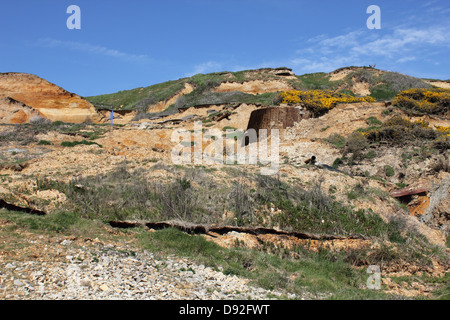 Cliff erosion at Barton on Sea, Hampshire, England UK. Stock Photo