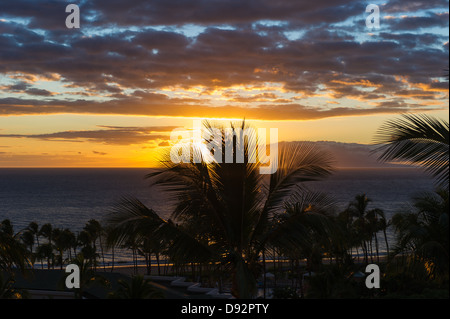 Beautiful Maui Hawaii beach Pacific ocean Palm tree sunset Stock Photo