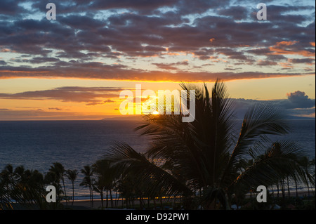 Beautiful Maui Hawaii beach Pacific ocean Palm tree sunset Stock Photo