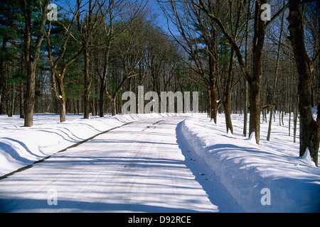 Snow Covered Country Road, Lake George, New York Stock Photo