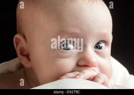 Portrait of baby boy Stock Photo