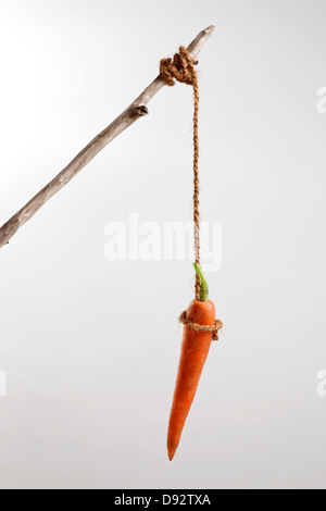 A carrot hanging on a string Stock Photo