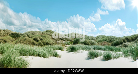 Grassy sand dunes in Schleswig Holstein, Germany Stock Photo