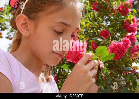 The girl smells rose on a flower-bed Stock Photo