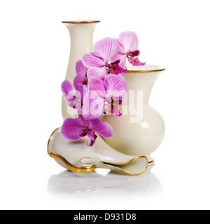 Group of old white porcelain vases and pink orchid flowers on white background Stock Photo