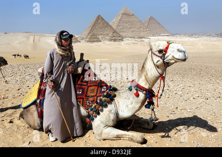 Camel Drivers in front of the Pyramids, Giza, Cairo, Egypt North Africa Stock Photo