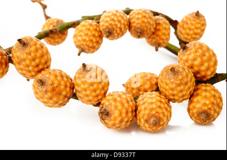 rattan fruit on white background Stock Photo