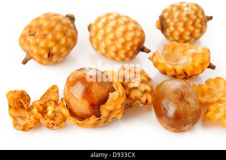 rattan fruit on white background Stock Photo