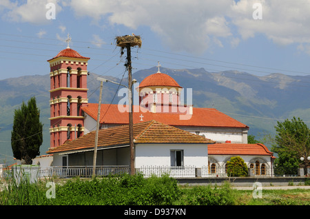 White storks nesting, Ciconia ciconia, church, Village, Lake Kerkini, Macedonia, Greece Stock Photo