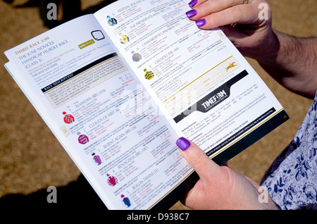 A lady studying the racecard for a horse racing meeting at Fakenham in Norfolk. Stock Photo