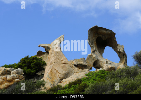 Tafoni rock, near Calvi, Balagne Region, Haute-Corse, Corsica, France Stock Photo