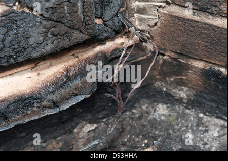 Rodent Electrical Fire Electrical Fire Faulty Wire Cable Burnt Rodent chewed through ...