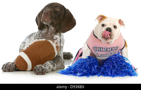 sports hounds - german shorthair pointer and english bulldog football fans isolated on white background Stock Photo
