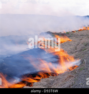 Burning hay on hill Stock Photo