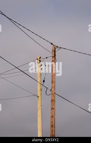 Electric and telephone cables attached to new and old telegraph poles side by side, Wales, UK. Stock Photo