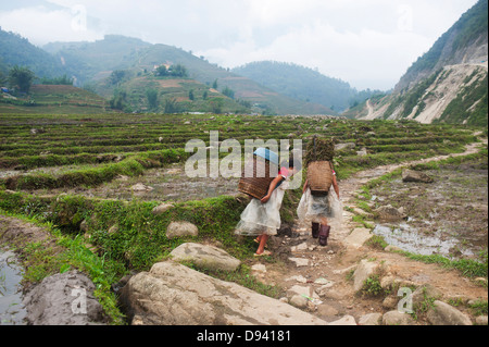 Sapa Vietnam - Two girls working in farming fields Stock Photo