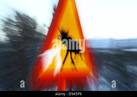 Warning sign with elk Stock Photo