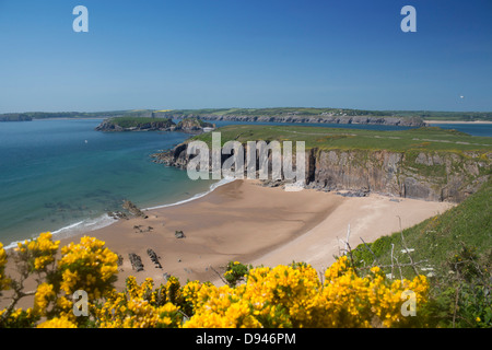 Sandtop Bay beach on Caldey Island (off Tenby) in spring with yellow ...