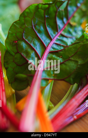 Rainbow Chard leaves Stock Photo