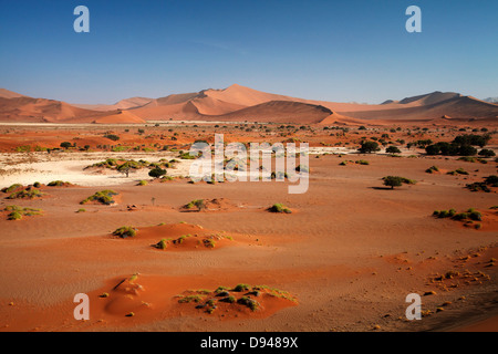 Sand dunes at Sossusvlei, Namib-Naukluft National Park, Namibia, Africa Stock Photo