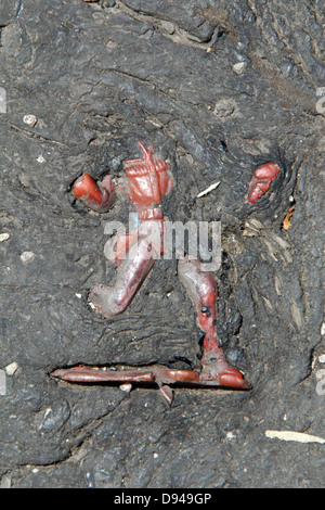 item embedded in hot tarmac road surface in sun Stock Photo