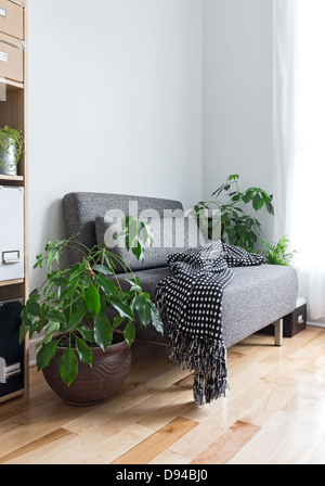Living room with comfortable armchair, bookcase and green plants. Stock Photo