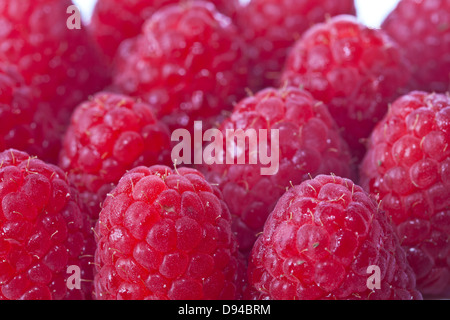 The raspberry is the edible fruit of a multitude of plant species in the genus Rubus of the rose family Stock Photo