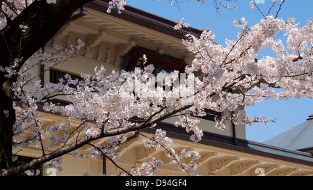 Yushukan Front Facade with Cherry Blossom Stock Photo