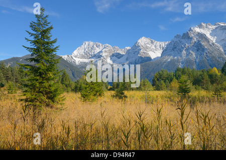 Field and Evergreen Trees with Karwendel Mountain Range, near Mittenwald, Werdenfelser Land, Upper Bavaria, Bavaria, Germany Stock Photo