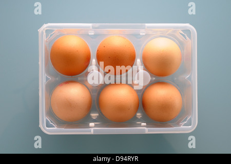 Overhead View of Six Brown Eggs in Plastic Egg Carton on Blue Background Stock Photo