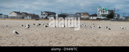 Panoramic View of Beach Houses on Jersey Coast, Point Pleasant, New Jersey, USA Stock Photo