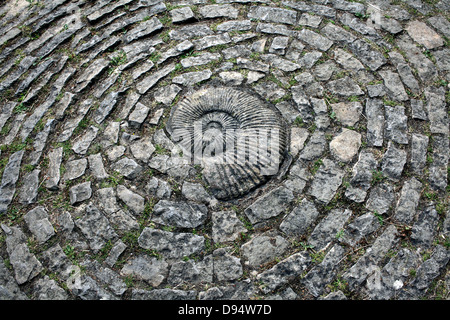 An ammonite fossil set in a footpath, Chalice Well gardens, Glastonbury, Somerset. Stock Photo