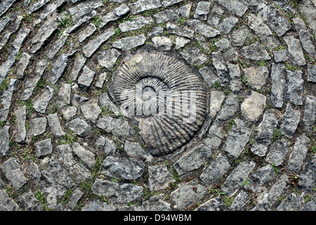 An ammonite fossil set in a footpath, Chalice Well gardens, Glastonbury, Somerset. Stock Photo