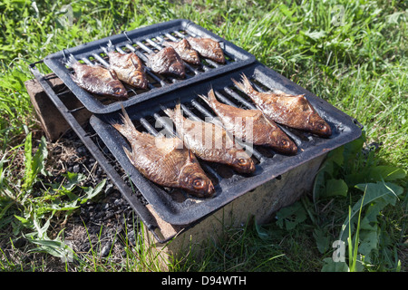 Just smoked fresh fish caught in the river Stock Photo